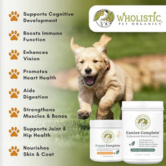 Wholistic Pet Organics Puppy Complete pumpkin flavor—flavorful nutrition puppies love