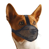 Whongkidz XS black dog muzzle close-up showing breathable air mesh for panting and drinking.