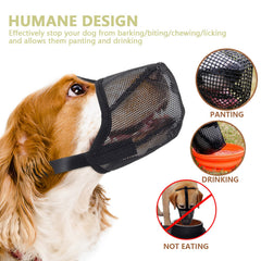 Whongkidz soft nylon muzzle on a small dog illustrating a gentle, secure fit.