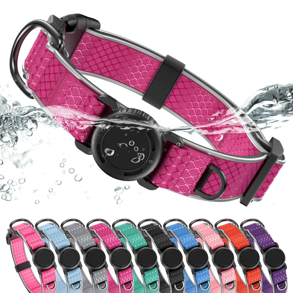 WhoseID Airtag Dog Collar holder demonstrates secure Airtag protection for outdoor tracking.
