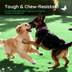 WhoseID Airtag Dog Collar with neoprene lining delivers soft comfort and reduced chafing.