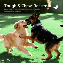 WhoseID Airtag dog collar neoprene lining keeps pets comfortable.