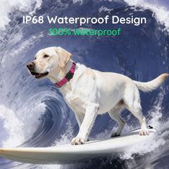 WhoseID Airtag Dog Collar waterproof design endures rain and swimming.