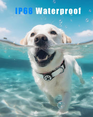 WhoseID AirTag holder with stretchable straps shows adjustable width for dogs and cats.