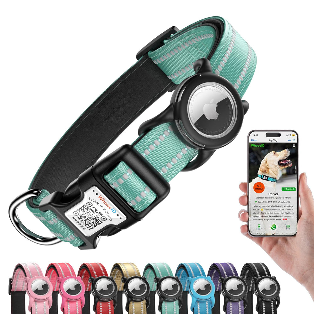 WhoseID airtag-dog-collar-buckle showing integrated ID for quick identification during walks