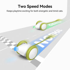 Cheerble Wicked Mouse Neo two-modes adapts to energetic or shy cats.