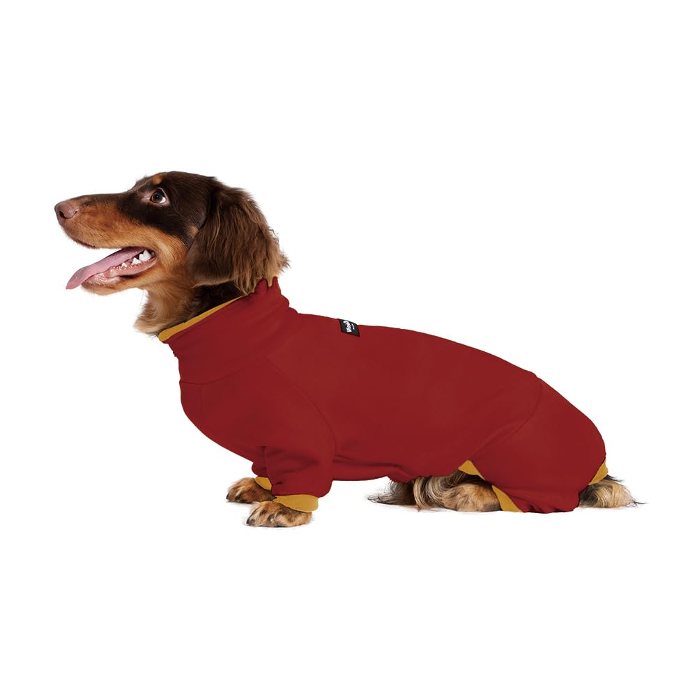 WienieDay dachshund sweater red front view, cozy fit for small dogs