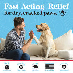 Wild Acre all-weather paw protection for walks in snow, sand, and pavement.