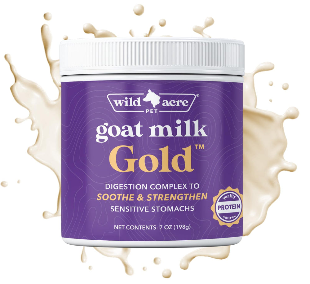 Wild Acre goat milk powder sprinkled over dog food for easy feeding