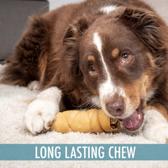 Wild Eats grain-free dog chews closeup highlighting rawhide-free, high-protein enrichment.