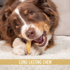 Wild Eats Water Buffalo Treats display featuring a lasting chew option