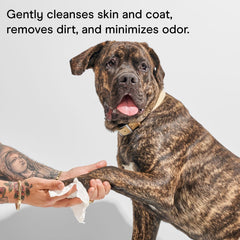 Wild One eucalyptus dog wipes in action on coat for gentle dirt lift.