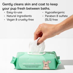 Wild One eucalyptus dog wipes close-up lid—handy for quick odor removal between baths.