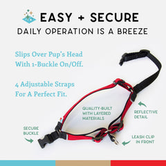 Wildebeest No Pull Harness 1000D nylon edge-fold durability in action.
