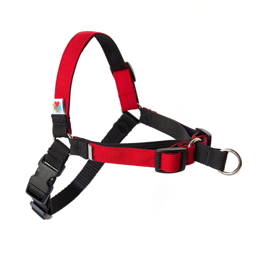 Wildebeest No Pull Harness front view with front-clip design for gentle control.