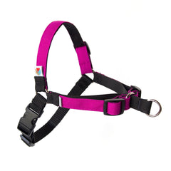 Wildebeest No Pull Harness front view with front clip for gentle control during walks