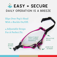 Wildebeest No Pull Harness 1000D nylon durability reinforcing daily wear resistance