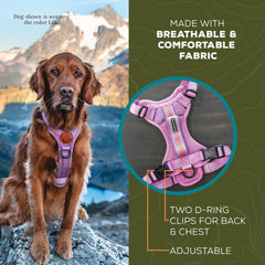 Wilderdog lightweight dog harness lilac back D-ring for secure leash attachment
