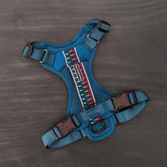 Wilderdog Pacific Blue harness with reflective strips for visibility in low light
