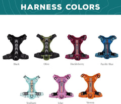 Wilderdog harness back D-ring attachment ideal for leash options on trails