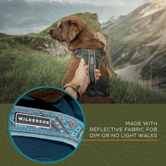 Wilderdog lightweight harness olive close-up of dual D-ring attachment points for control
