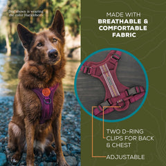 Wilderdog harness reflective stripes enhancing visibility during dusk hikes