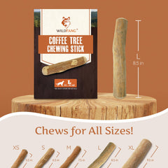 Wildfang Coffee Tree Sticks close-up highlighting durable design