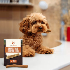 Wildfang Coffee Wood Dog Chew XS closeup highlights smooth wood grains and safe chew surface.