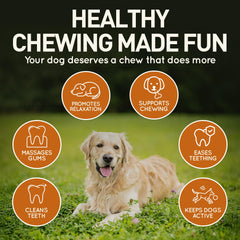 Wildfang leather dog toy large teething detail highlights gentle-on-gums design.