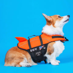 WILLBOND text patch do not pet communicates boundaries during training