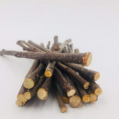 William Craft branche-pomme naturelle, jouet mastication pour petits animaux.