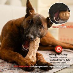Willjoy easy-grip grooved-dog-toy helps dogs grip and gnaw comfortably