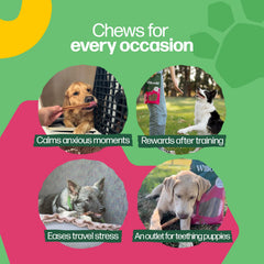 Willow & I 100% grass-fed beef source shown for a healthier, protein-rich chew.