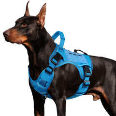 WINGOIN Blue Tactical Dog Harness front view — rugged durability for large dogs on outdoor walks