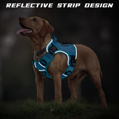 WINGOIN Blue Tactical Dog Harness handle and D-rings — enhanced control during training