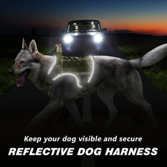 WINGOIN reflective strip closeup for high-visibility evening walks.