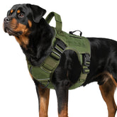 WINGOIN Green Tactical Dog Harness front view with rugged 1000D nylon for large dogs