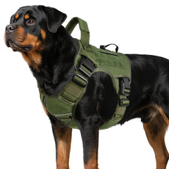 WINGOIN Green Tactical Dog Harness front view with rugged 1000D nylon for large dogs