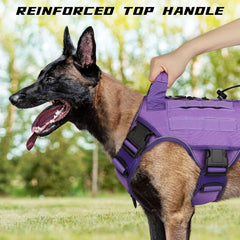 WINGOIN Purple Tactical Dog Harness reflective strip boosts visibility at dusk