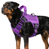 WINGOIN Purple Tactical Dog Harness side view demonstrates secure fit for walks