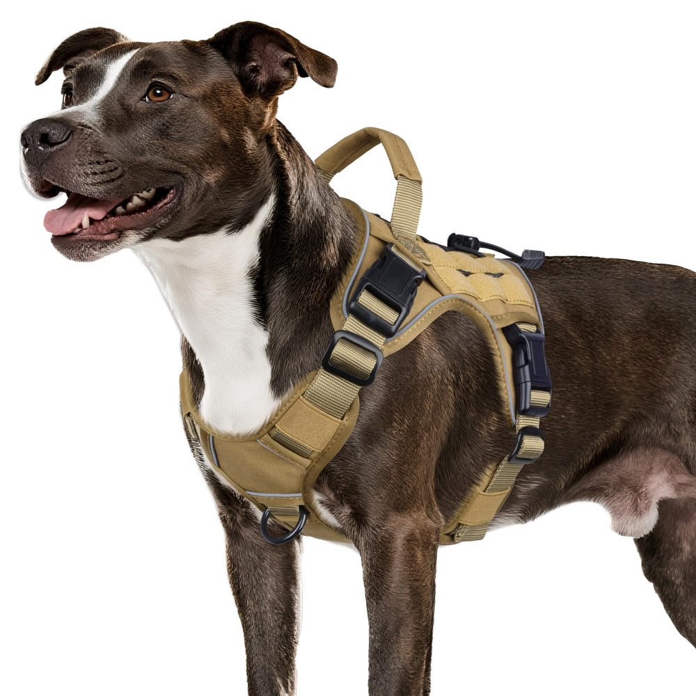 WINGOIN tactical dog harness medium front view shows rugged 1000D nylon build.