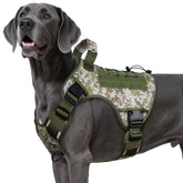 WINGOIN tactical harness XXL side view highlighting rugged 1000D nylon construction for outdoor use
