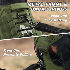 WINGOIN harness with four quick-release buckles for fast adjustment and wearing.