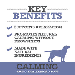 WINPRO Calming Chews ingredients with taurine and theanine support gentle relaxation.