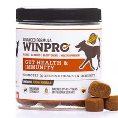 WINPRO Dog Gut Health Chews packaging showing 60-count bottle for daily gut support.