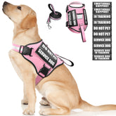 Arnés WINSEE para perro de servicio en rosa, fácil de poner y ajustar para entrenamientos diarios.