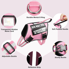 Correa WINSEE de 5 pies en color rosa, duradera y cómoda para paseos.