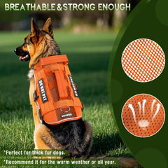 WINSEE breathable mesh harness captures airflow design ideal for all-season comfort on walks