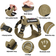 WINSEE reflective straps improve nighttime visibility and safe control.