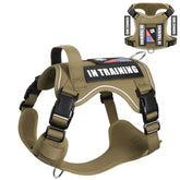 WINSEE service dog in training harness front view with patches for daily walks.